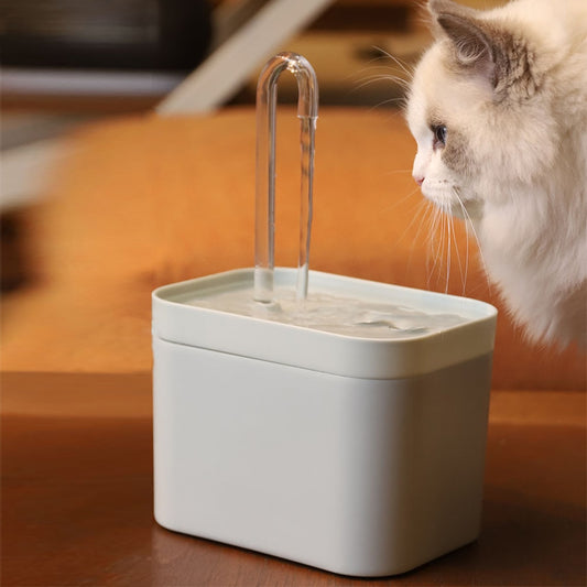 CoreCats Water Fountain